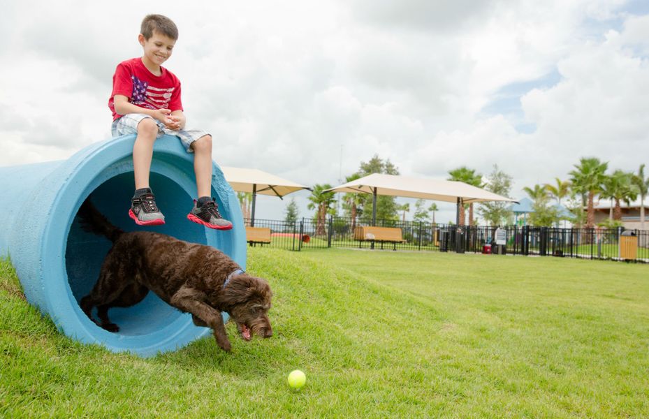 The Lakeside Dog Park