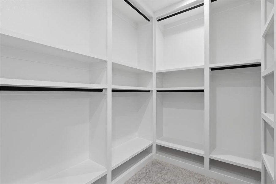 Walk in closet featuring light carpet Walk in closet featuring light carpet