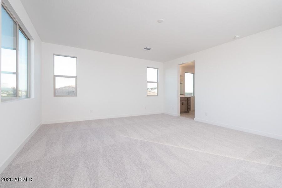 Tri Pointe Soleo 325 - Primary Suite-1ML