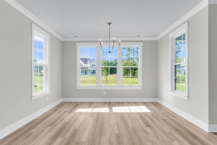 Spacious, unfurnished interior of a new home in Pineland Preserve, Summerville (Image 28).