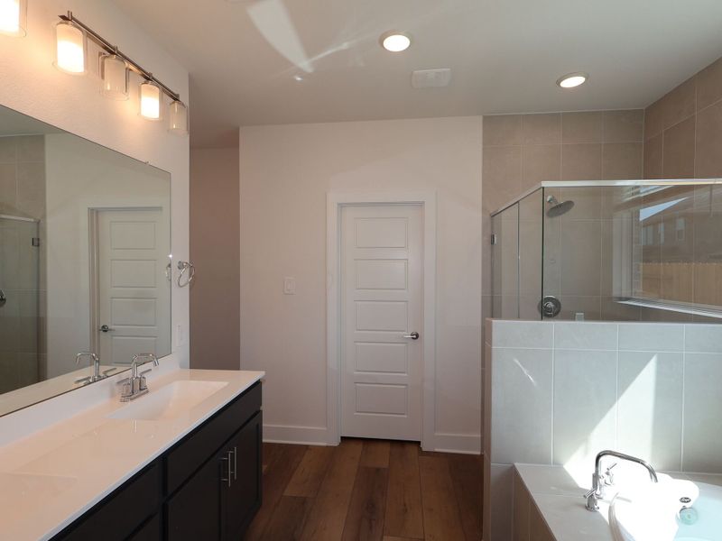 Owner's Bathroom