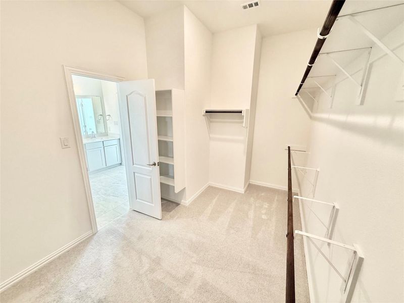 Spacious closet with light carpet
