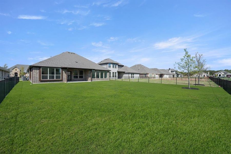 316 Bowrider- Back-1 316 Bowrider- Back-1