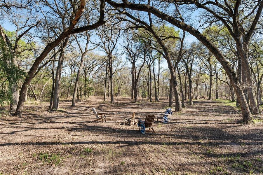 Natural landscape and outdoor views near  in Groesbeck (Image 34).