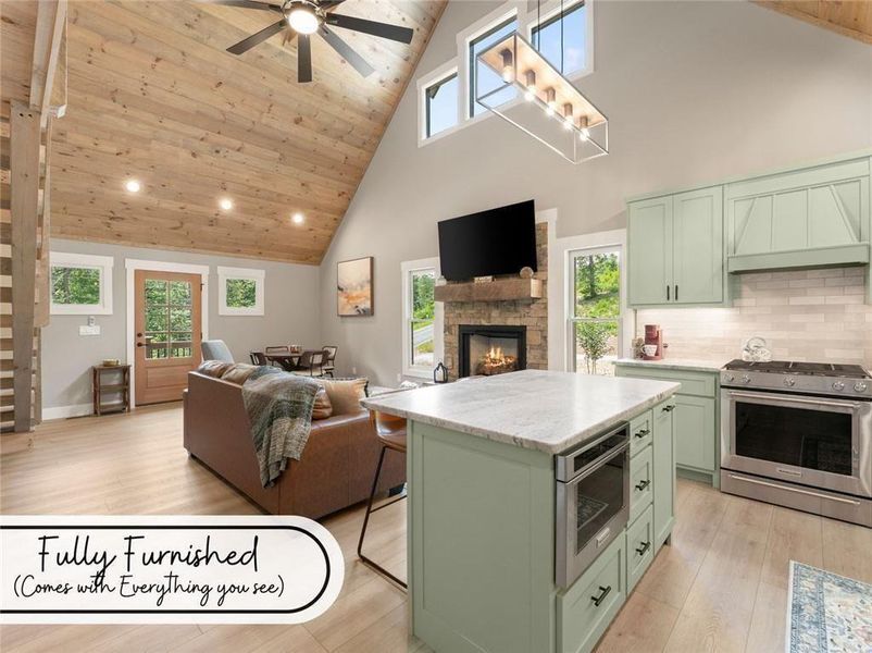 Furnished interior view inside a new home in , Mineral Bluff (Image 10).