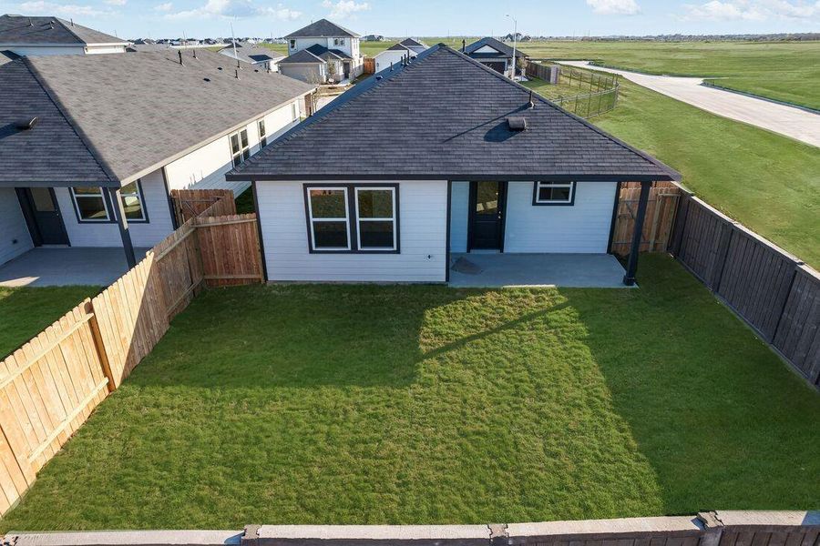 26814 Celestial Cypress ~ Ready Now