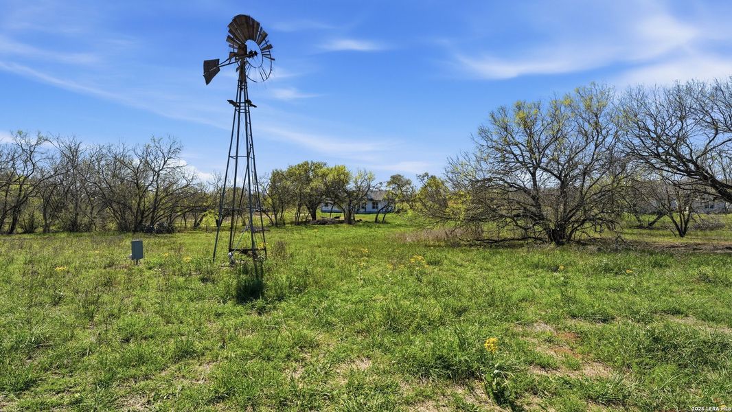 Natural landscape and outdoor views near  in Seguin (Image 38).