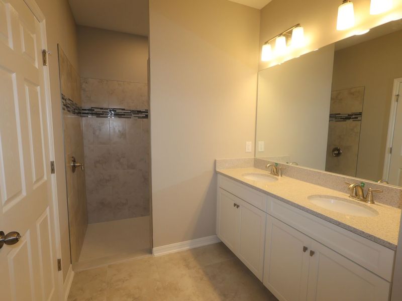 Owner's Bathroom
