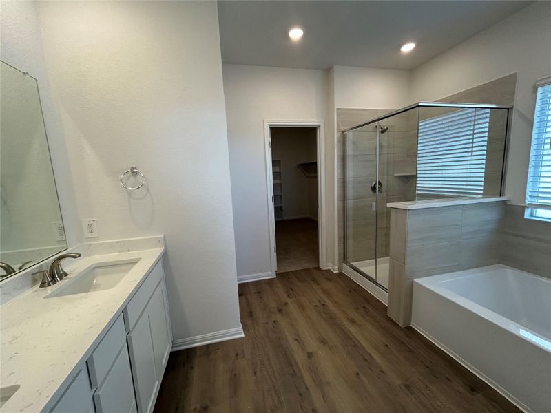Full bath featuring a stall shower, vanity, a bath, dark wood-type flooring, and a spacious closet