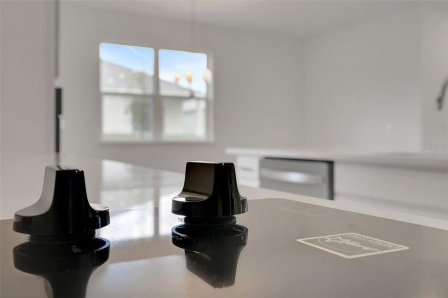 Close-up of interior finishes inside a home in Crossroads at Kelly Park, Apopka (Image 16).