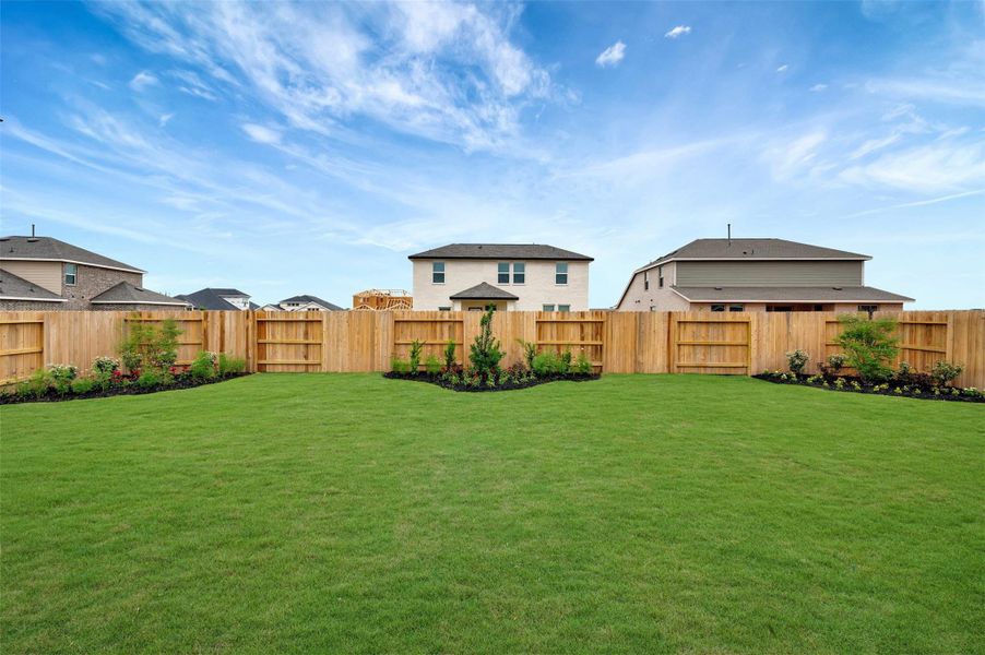 Peaceful backyard