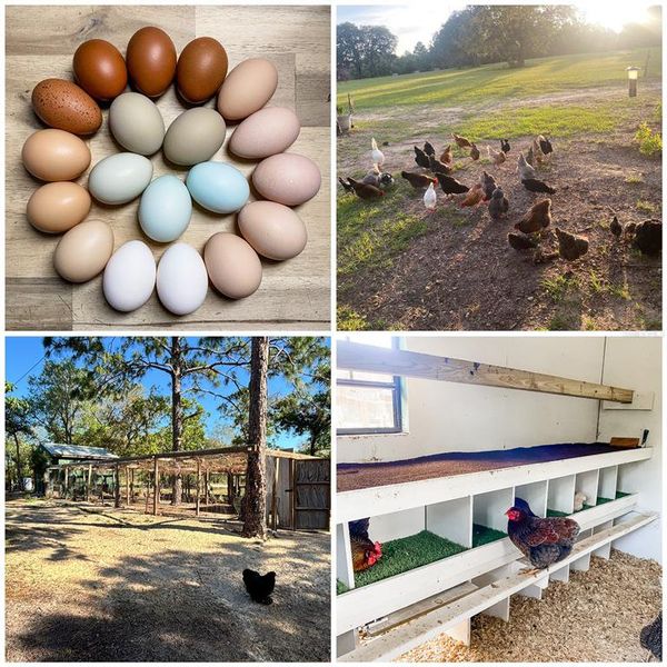 Image 85 of a home in .