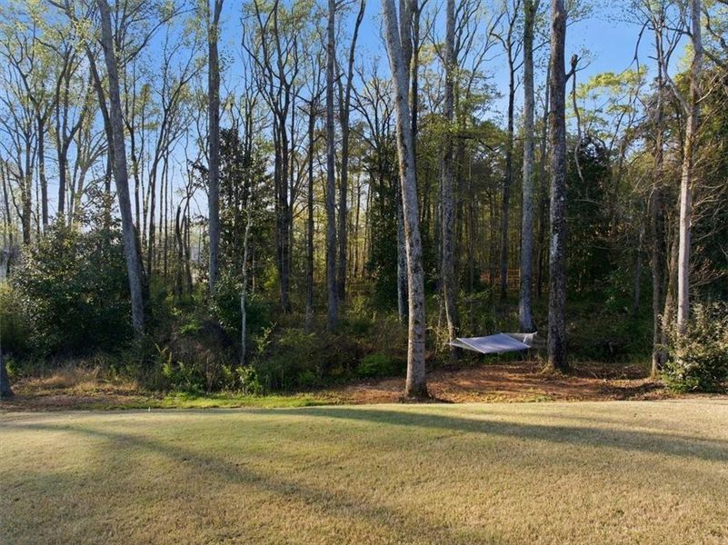 Natural landscape and outdoor views near Nine Oaks in Locust Grove (Image 63).