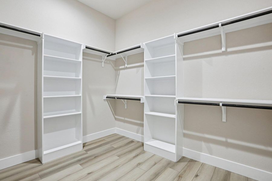 Spacious closet featuring light wood finished floors
