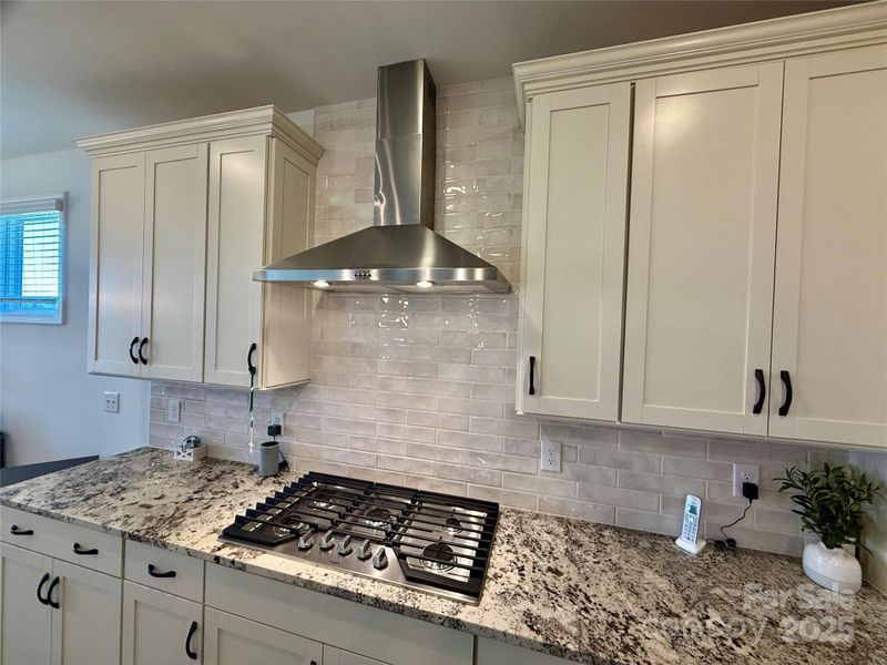 Gas Cooktop with hood