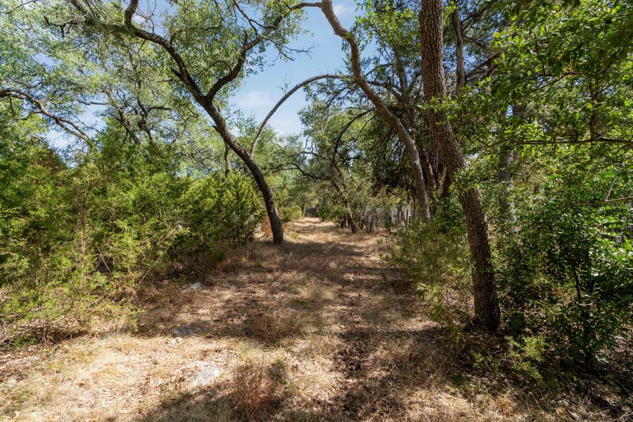 Natural landscape and outdoor views near  in Wimberley (Image 25).