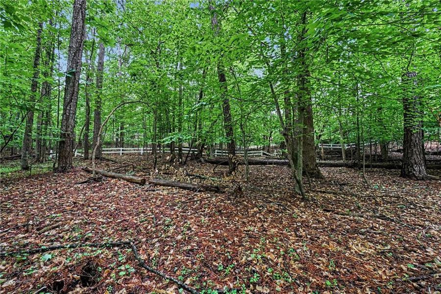 Natural landscape and outdoor views near  in Marietta (Image 21).