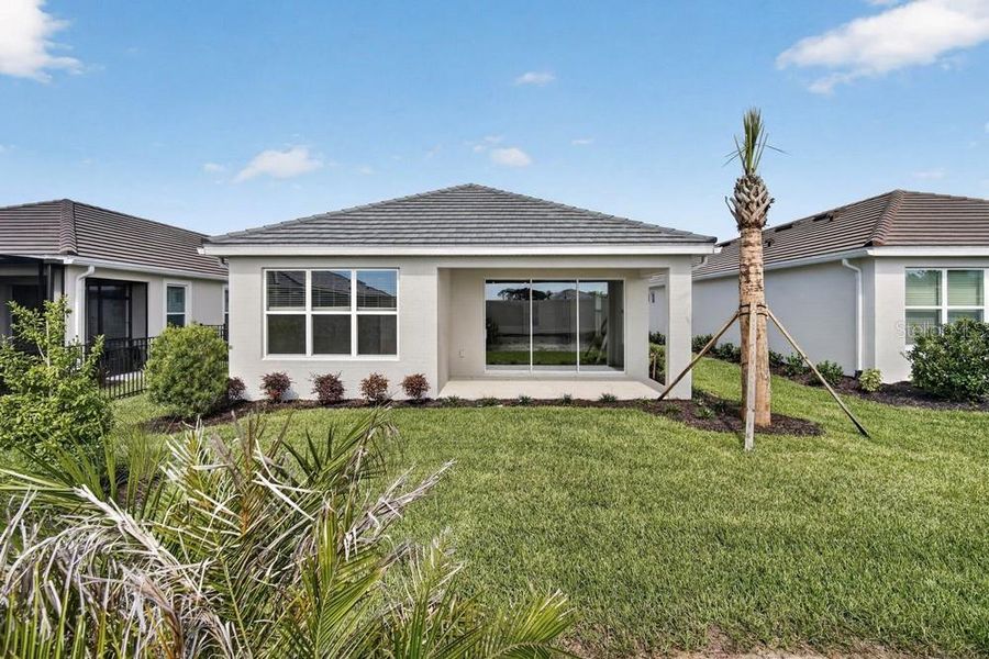 Exterior details and patio area of a home in Esplanade at Wiregrass Ranch, Wesley Chapel (Image 4).