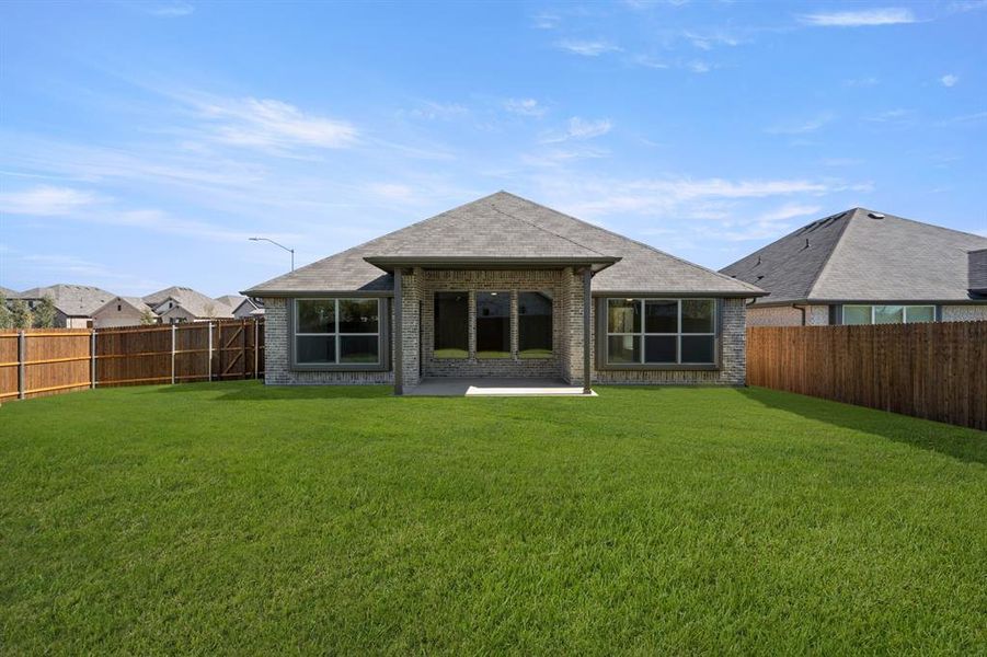 10352 Tapioca- Back-2