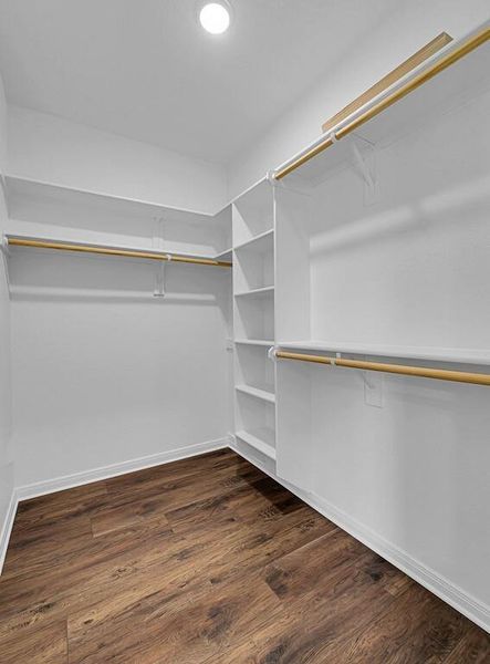 Spacious closet featuring dark wood-type flooring