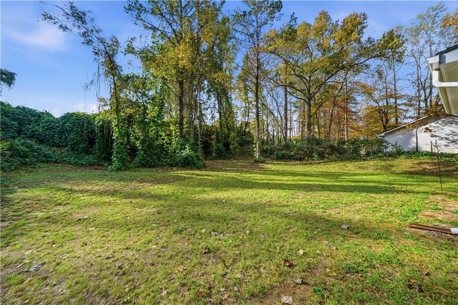 Natural landscape and outdoor views near  in Jasper (Image 23).