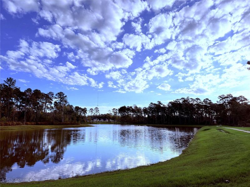 Whistling Duck Lake provides a natural landscape to enjoy daily. Whistling Duck Lake provides a natural landscape to enjoy daily.