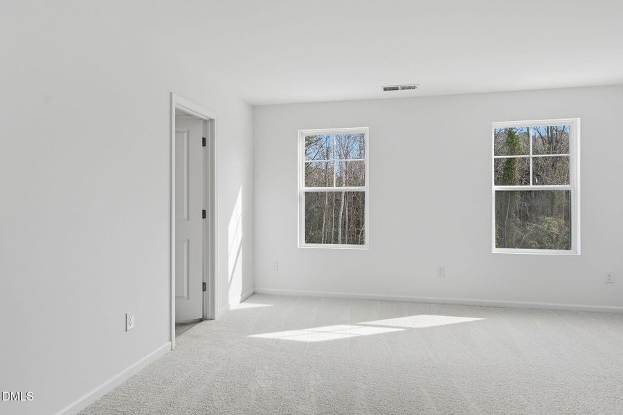 SUN_Marelli_Pic_Sutton-10