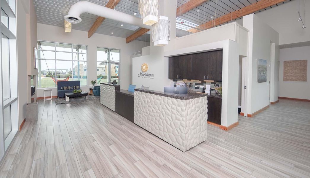 Community amenities in Meridiana, Manvel (Image 24).