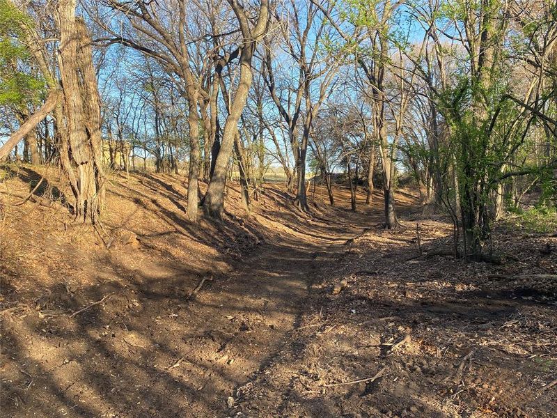 Natural landscape and outdoor views near  in Weatherford (Image 16).