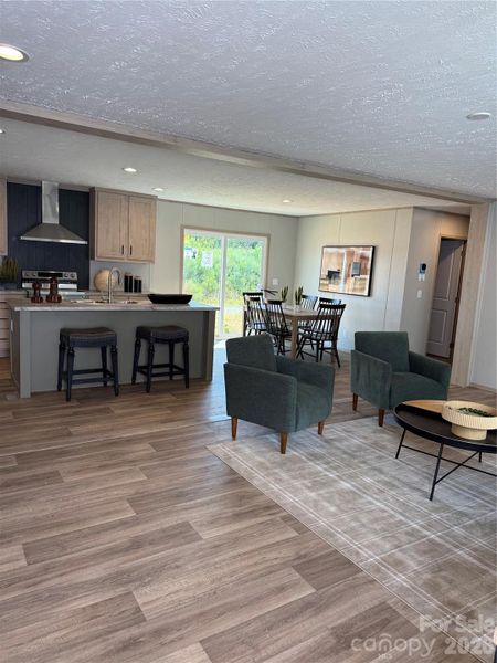 Open Living Room and Kitchen Concept