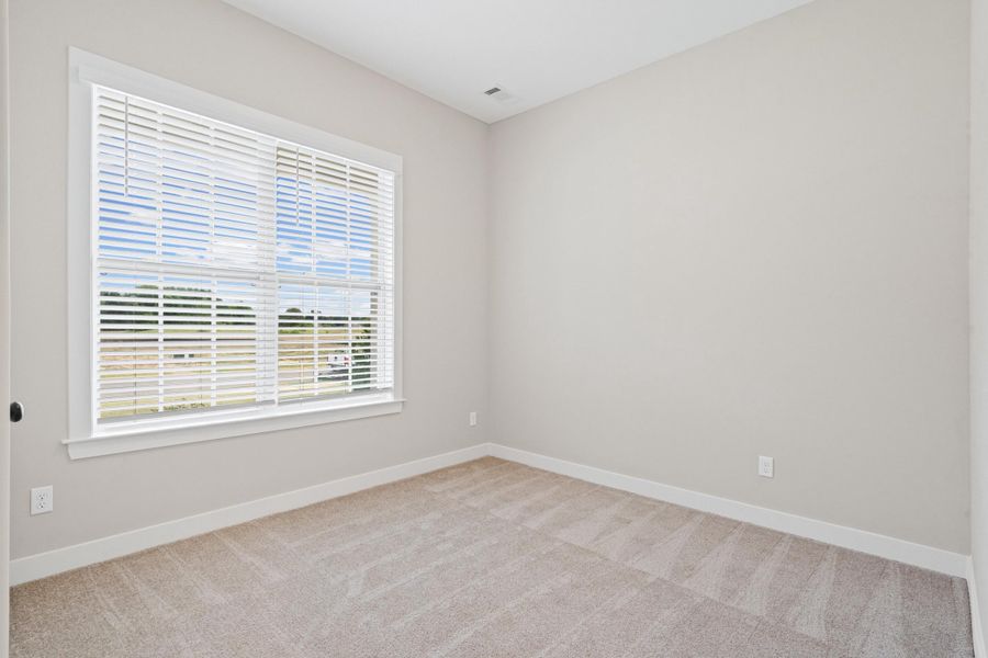 Carpeted room featuring a large window with white blinds, neutral wall paint, white trim, and a white ceiling Carpeted room featuring a large window with white blinds, neutral wall paint, white trim, and a white ceiling