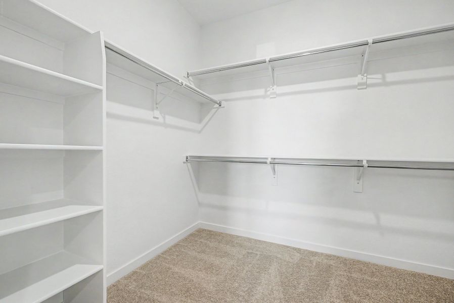 Spacious, unfurnished interior of a new home in Arras Park, Thornton (Image 19).