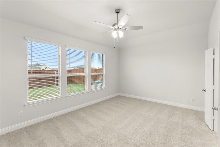 12. 6216 Havature - Primary