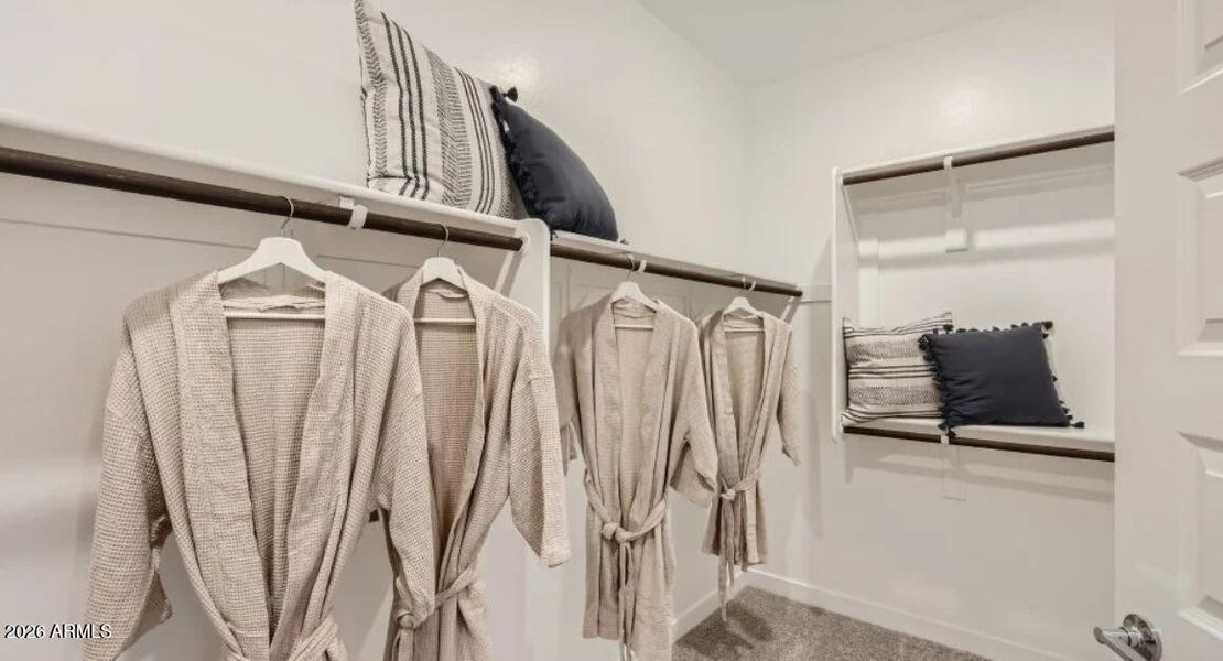 Owners Walk in Closet