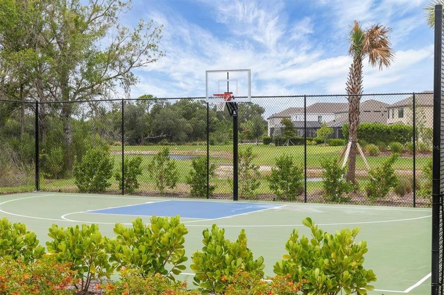 Community amenities in Palmero, Nokomis (Image 44).