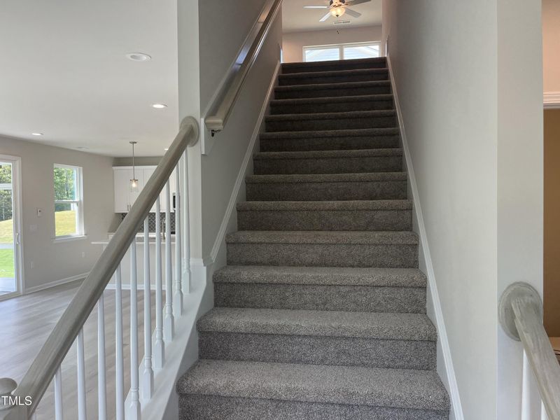 carpeted stairs