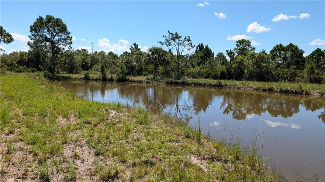 Natural landscape and outdoor views near  in Punta Gorda (Image 37).