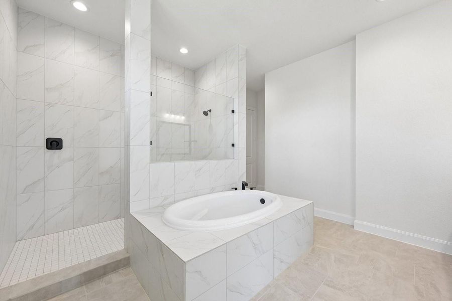 Large Primary Bath with tub and shower Large Primary Bath with tub and shower