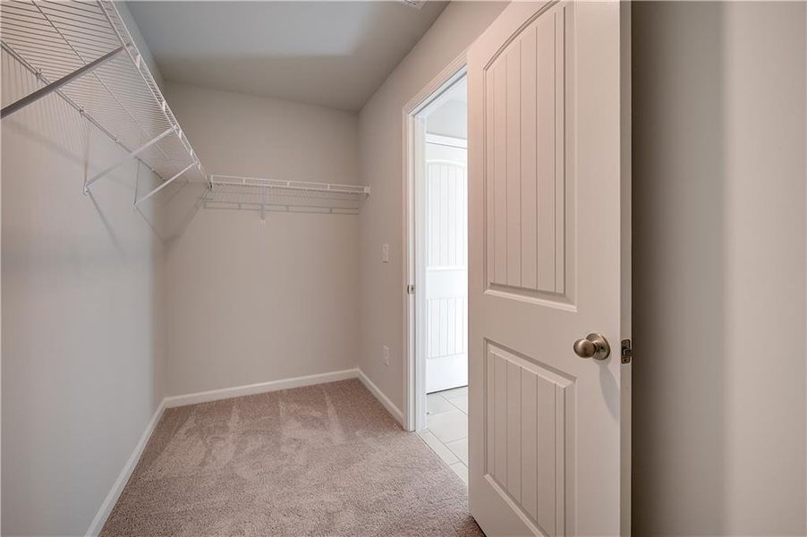 Spacious, unfurnished interior of a new home in Burchwood, Stockbridge (Image 23).