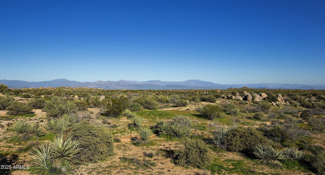 Endless Views... Endless Views...