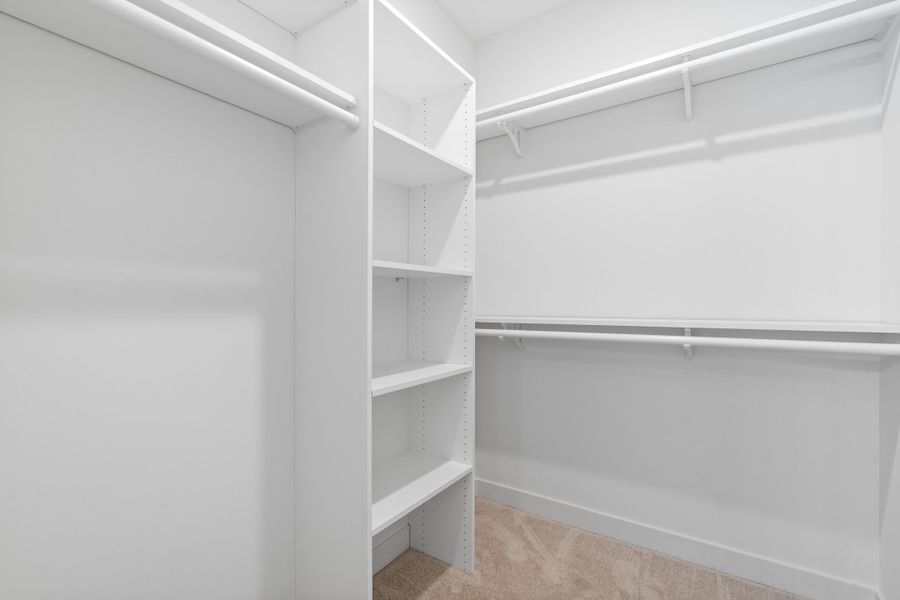 Custom built-in shelving, multiple hanging rods, white finish cabinetry, and carpeted flooring Custom built-in shelving, multiple hanging rods, white finish cabinetry, and carpeted flooring