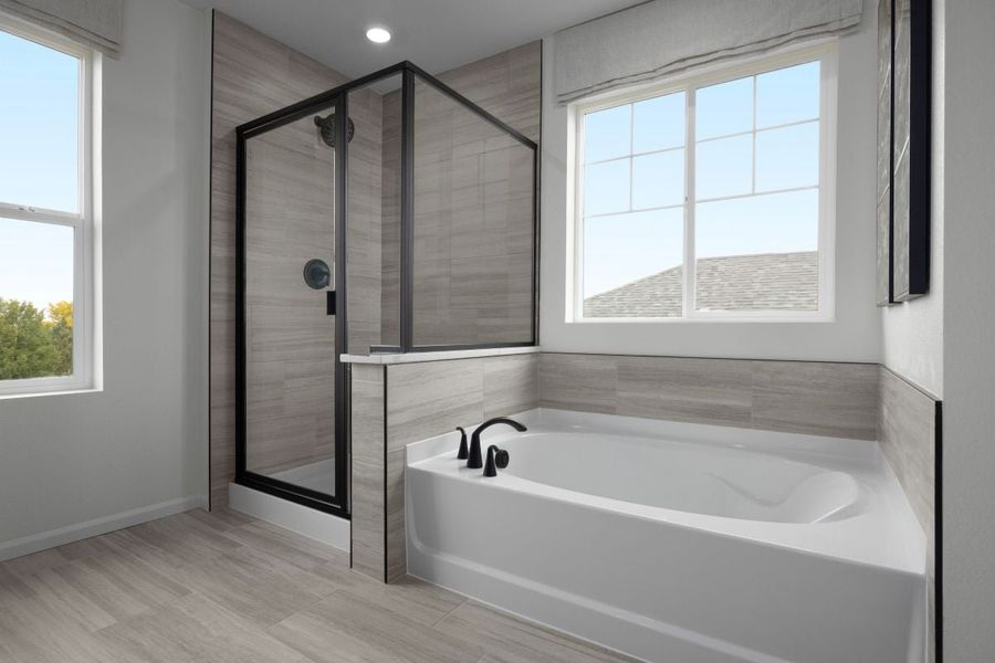Tub and separate shower at primary bath
