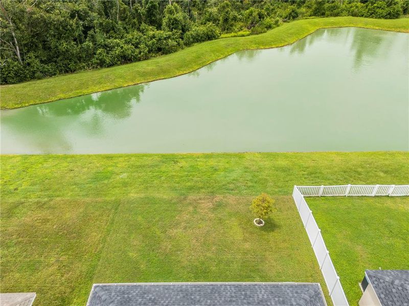 Natural landscape and outdoor views near Stonebridge North in Zephyrhills (Image 50). Natural landscape and outdoor views near Stonebridge North in Zephyrhills (Image 50).