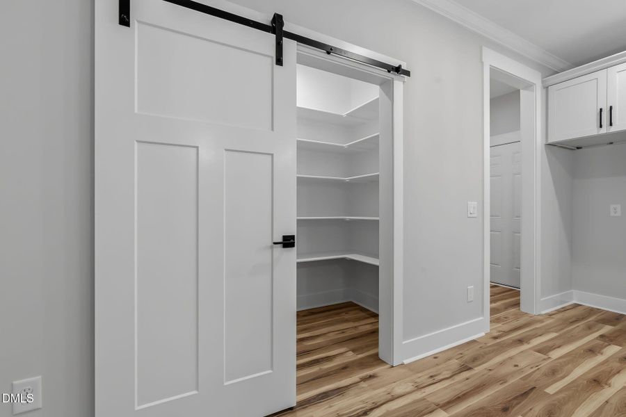 44-web-or-mls-DSC09283