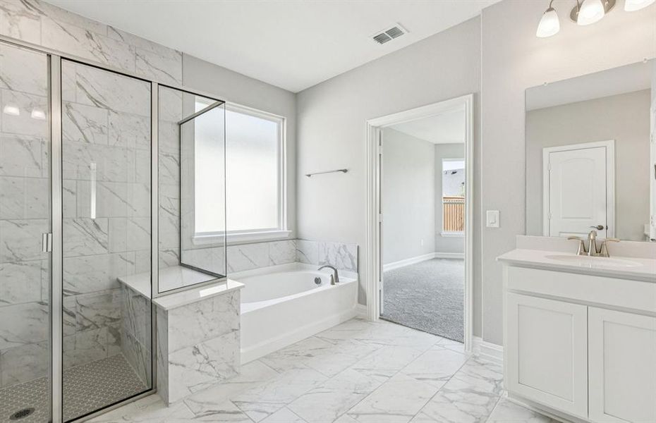 Large shower and tub in owner's bath