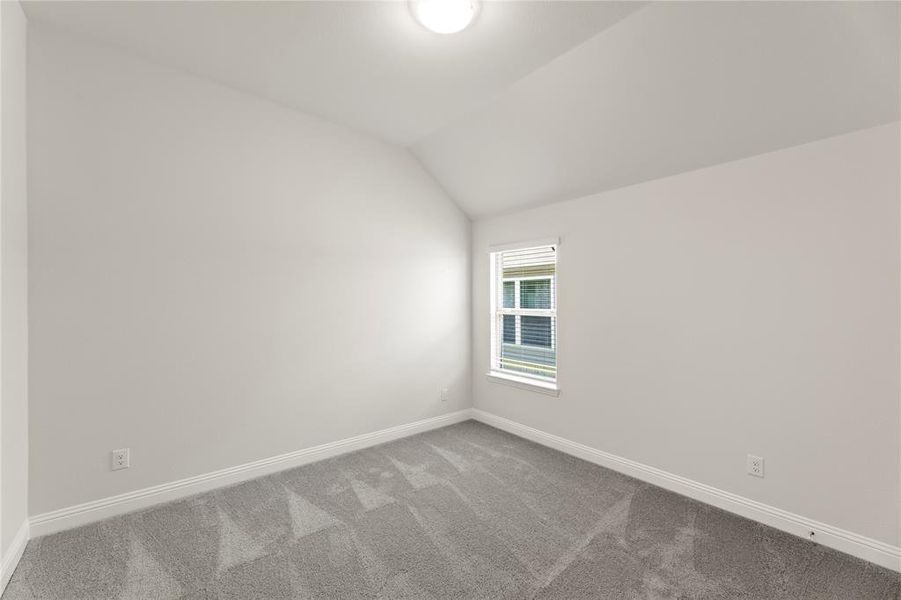 06. 1017 Goya - Bed 3 06. 1017 Goya - Bed 3