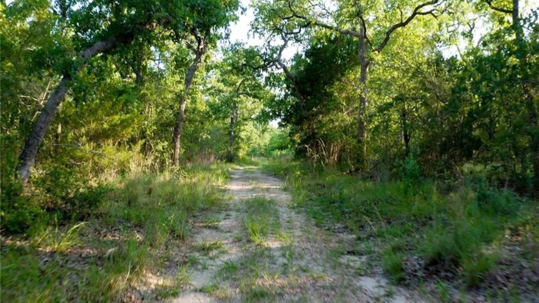 Natural landscape and outdoor views near Lakeside at Millican Reserve in College Station (Image 19).