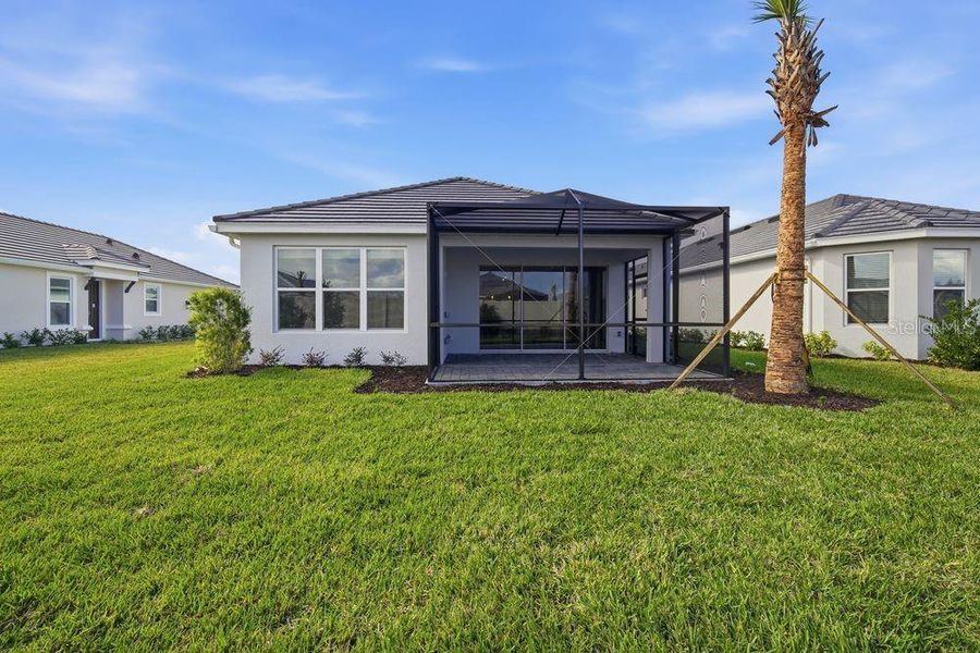 Exterior details and patio area of a home in Esplanade at Wiregrass Ranch, Wesley Chapel (Image 22).