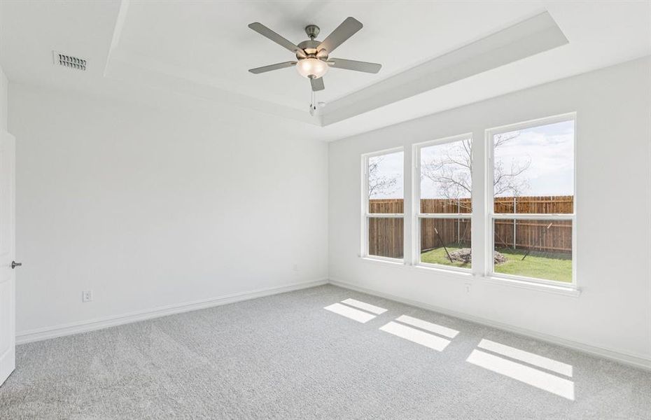 Elegant owner's suite with expansive windows and tray ceiling Elegant owner's suite with expansive windows and tray ceiling