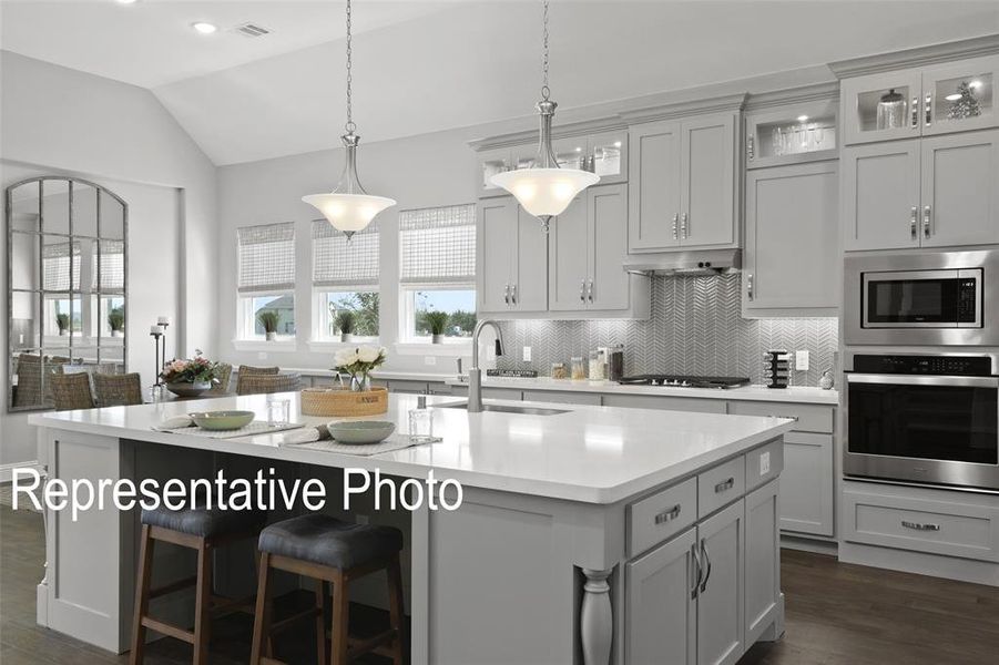 Kitchen with dark hardwood / wood-style floors, stainless steel appliances, sink, vaulted ceiling, and a center island with sink